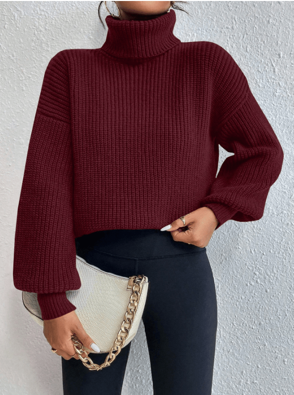 Celisse Solid Color Turtleneck Ribbed Knit Casual Long Sleeve Pullover Sweater - M