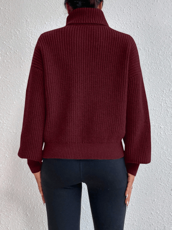 Celisse Solid Color Turtleneck Ribbed Knit Casual Long Sleeve Pullover Sweater - M