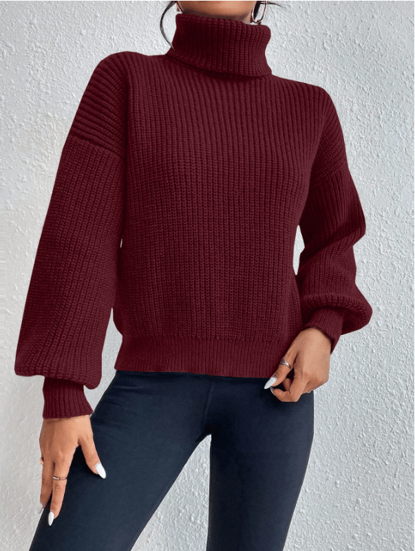 Celisse Solid Color Turtleneck Ribbed Knit Casual Long Sleeve Pullover Sweater - M