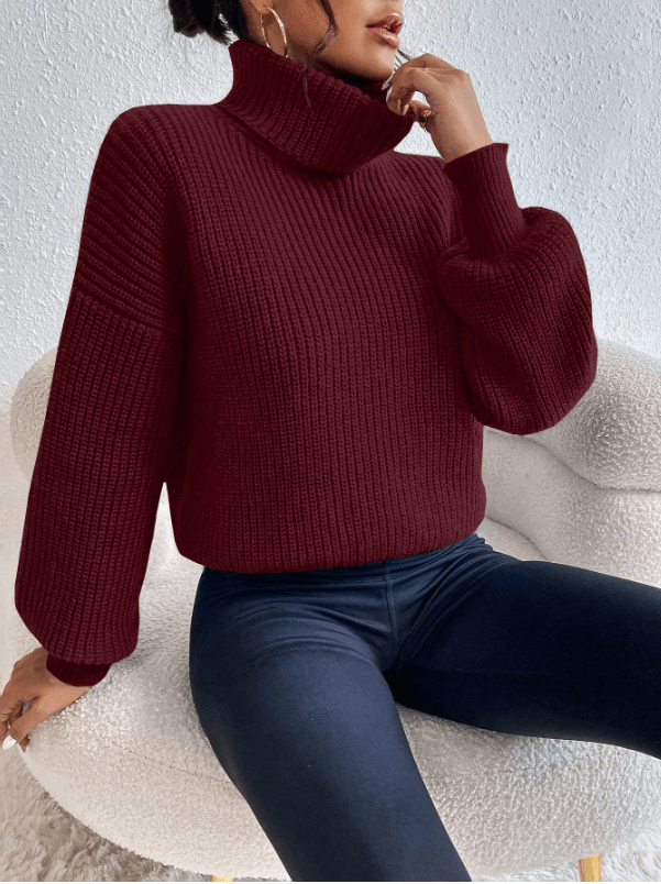 Celisse Solid Color Turtleneck Ribbed Knit Casual Long Sleeve Pullover Sweater - M
