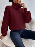 Celisse Solid Color Turtleneck Ribbed Knit Casual Long Sleeve Pullover Sweater - M